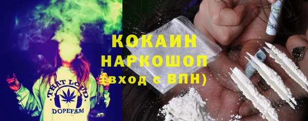 крисы Вязники