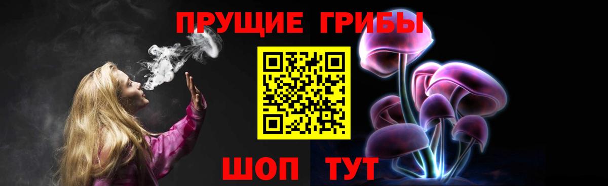 Галлюциногенные грибы прущие грибы Коряжма